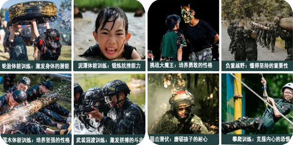 哪里能找到关于智能球衣在篮球训练中应用的信息_1